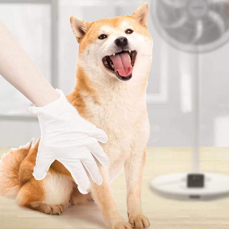 Est-il bon d’utiliser des gants non tissés jetables pour les animaux de compagnie ?